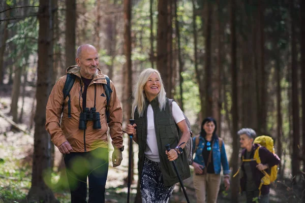 Grupp av seniorer vandrare utomhus i skogen i naturen, promenader. — Stockfoto