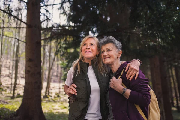 Seniorinnen wandern draußen im Wald in der Natur und unterhalten sich. — Stockfoto