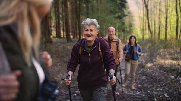 Groupe de randonneurs seniors à l'extérieur en forêt dans la nature, à pied. — Photo