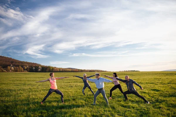 Gruppo di anziani con istruttore di sport fare esercizio all'aperto in natura, stile di vita attivo. — Foto Stock
