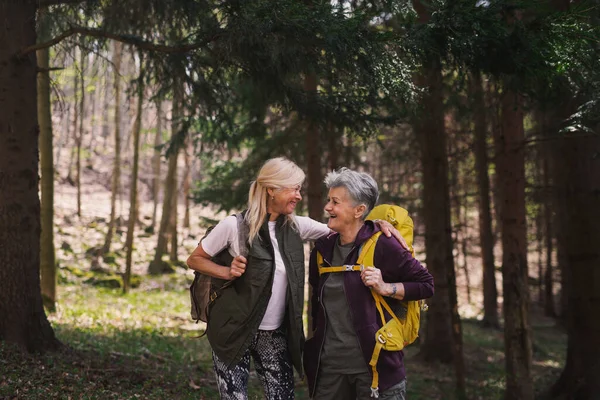Старшие женщины туристы на открытом воздухе гуляя в лесу на природе, разговаривая. — стоковое фото