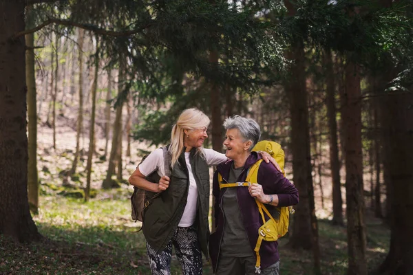 Seniorinnen wandern draußen im Wald in der Natur und unterhalten sich. — Stockfoto