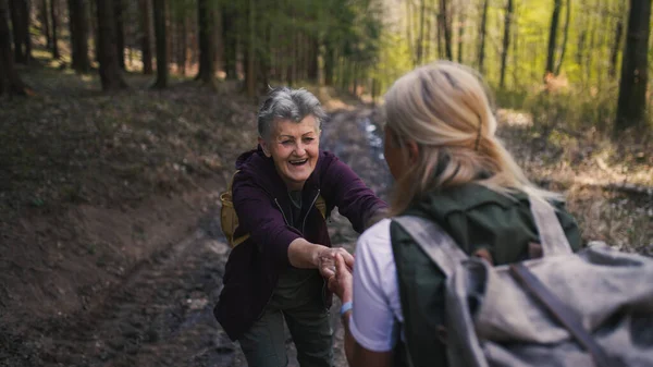 Donne anziane escursioniste all'aperto passeggiando nella foresta nella natura, aiutandosi a vicenda. — Foto Stock