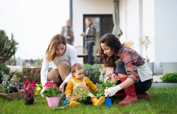 Happy multigeneration family outdoors planting flowers in garden at home, gardening concept. — Stock Photo, Image