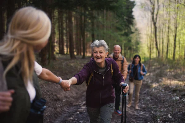 Skupina seniorů turisté venku v lese v přírodě, chůze. — Stock fotografie