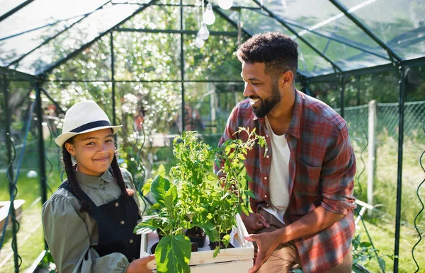 Saudara muda yang bahagia dengan adik kecil bekerja di luar rumah di halaman belakang, berkebun dan konsep rumah kaca. — Stok Foto