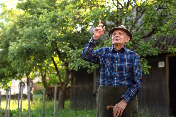 Portret starszego mężczyzny stojącego na zewnątrz w ogrodzie, patrzącego w górę. — Zdjęcie stockowe