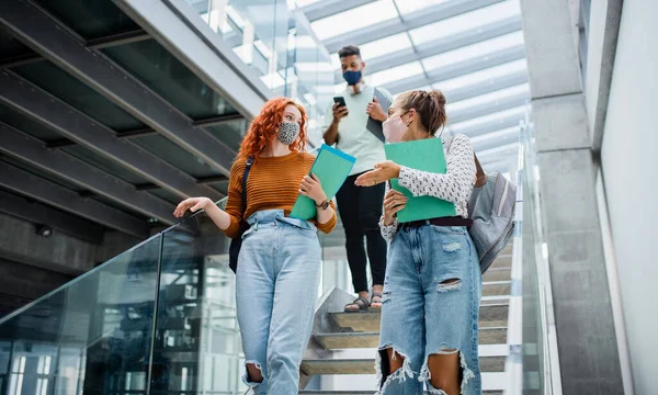 University students walking down and talking the stairs indoors, coronavirus concept. — Stock Photo, Image