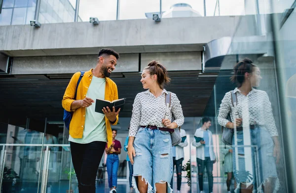 University students walking in the corridor indoors, talking. — Stock Photo, Image