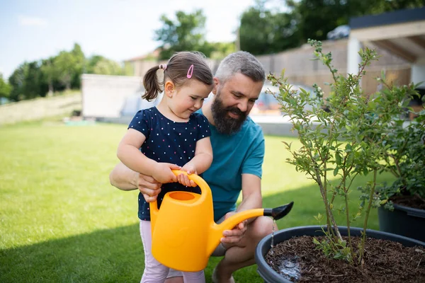 Pai com filha pequena ao ar livre no quintal tha, plantas de rega. — Fotografia de Stock