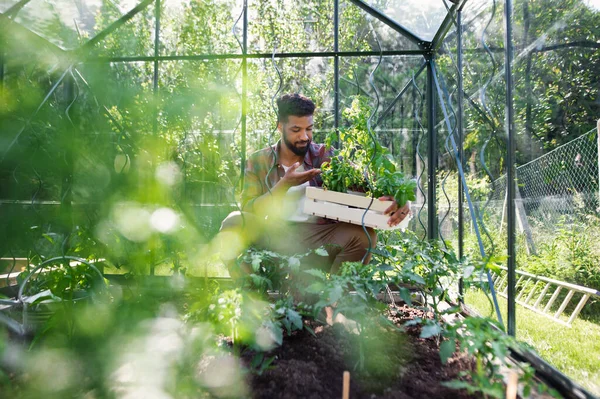 Szczęśliwy młody człowiek pracujący na świeżym powietrzu w ogrodzie, ogrodnictwie i koncepcji szklarni. — Zdjęcie stockowe