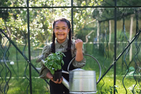 Happy small girl berkebun di luar rumah kaca di halaman belakang, melihat kamera. — Stok Foto