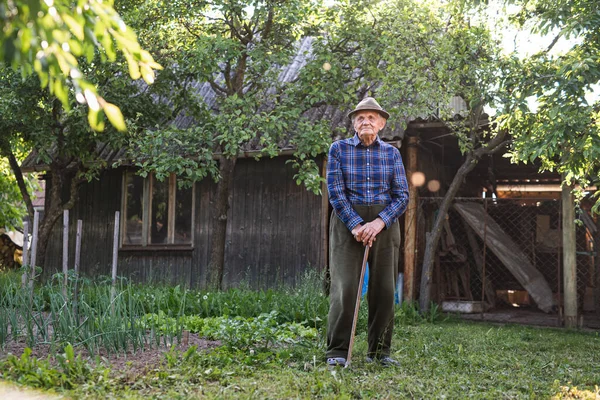 Portrait of sad elderly man standing outdoors in garden.