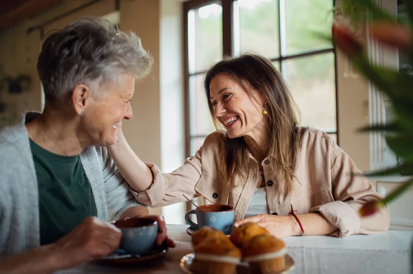 Szczęśliwy starszy matka mając herbatę z dorosły córka wewnątrz w domu, rozmowa. — Zdjęcie stockowe