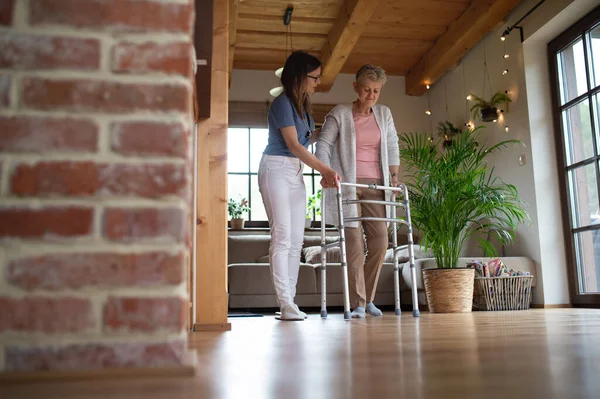Travailleur de la santé ou soignant visitant femme âgée à l'intérieur à la maison, l'aidant à marcher. — Photo