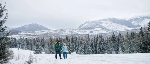 Vater mit kleiner Tochter auf einem Spaziergang im Freien in der winterlichen Natur, Tatra Slowakei. — Stockfoto