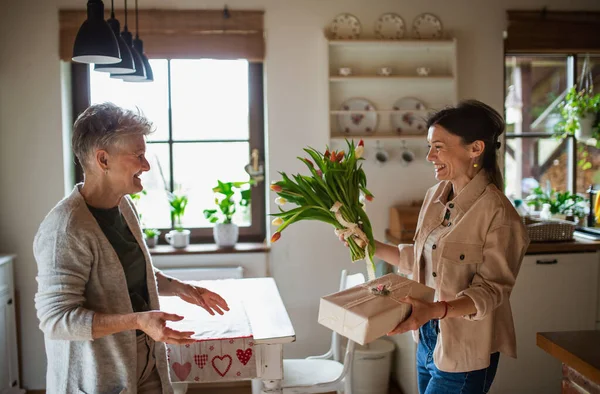 Hija adulta visitando feliz madre mayor en el interior de casa, día de las madres o celebración de cumpleaños. — Foto de Stock