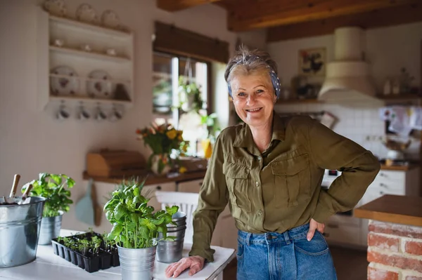 Feliz mujer mayor plantando hierbas en el interior de casa, mirando a la cámara. — Foto de Stock