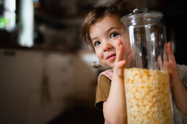 Portrait of cute small holding container with cornflakes indoors at home, looking at camera. — Stock Photo, Image