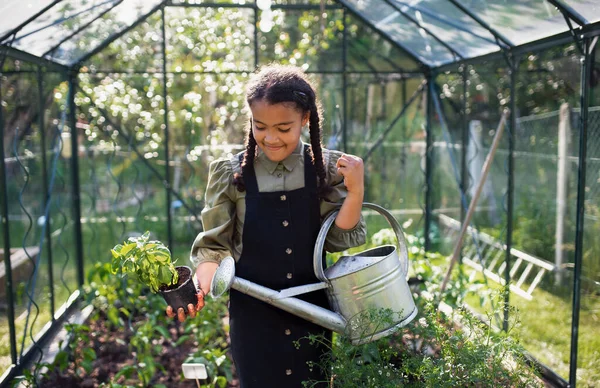 Happy small girl berkebun di luar rumah kaca di halaman belakang. — Stok Foto