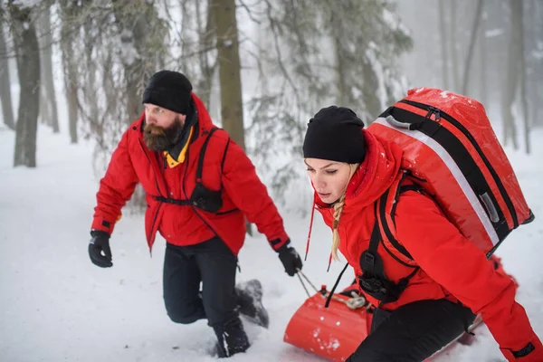 Гірська служба порятунку забезпечує експлуатацію на відкритому повітрі взимку в лісі, притягуючи пораненого в ношах . — стокове фото