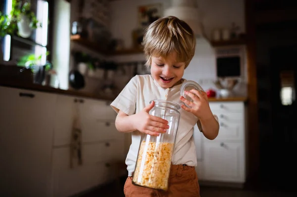 stock-photo-portrait-of-cute-small-boy