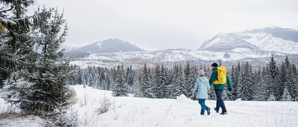 Bakre bild av far med liten dotter på en promenad utomhus i vinter natur, Tatrabergen Slovakien. — Stockfoto