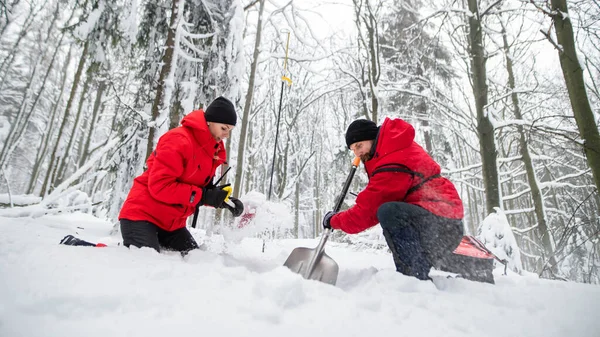 Låg vinkel syn på fjällräddning tjänst på drift utomhus på vintern i skogen, gräva snö med skyfflar. — Stockfoto