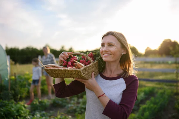コミュニティファームの屋外で自家栽培野菜とバスケットを運ぶ中大人の女性農家. — ストック写真