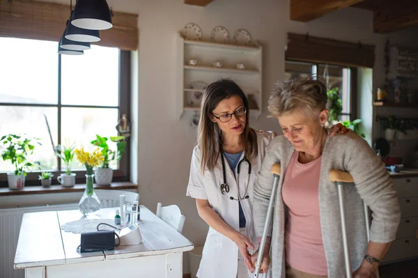Медицинский работник или сиделка посещает пожилую женщину в помещении дома, помогая ей ходить. — стоковое фото