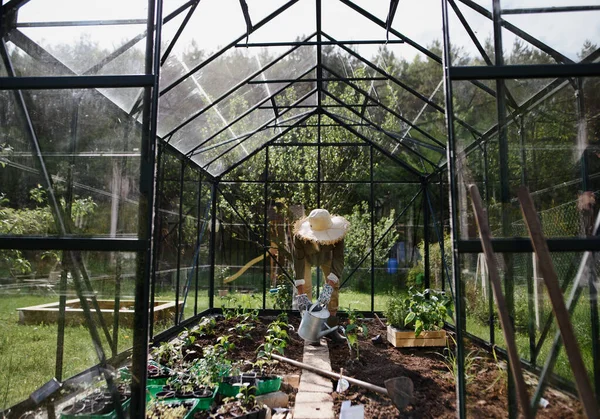 Unrecognizable senior woman watering plants in greenhouse at garden. — Stock Photo, Image