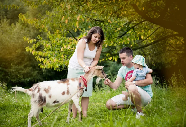 Happy family with goat — Stock Photo, Image