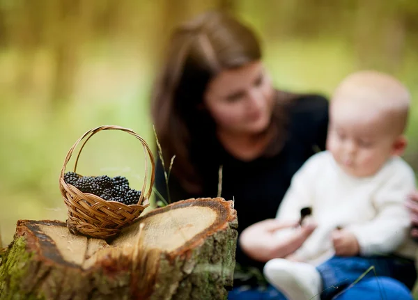 Mother with baby son in forest — Stock Image Mother with baby son in forest Royalty Free Stock Photos