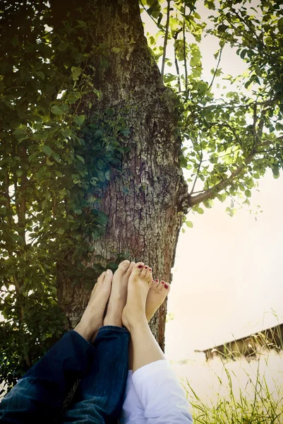 Pareja acostada en el parque bajo el árbol — Foto de Stock