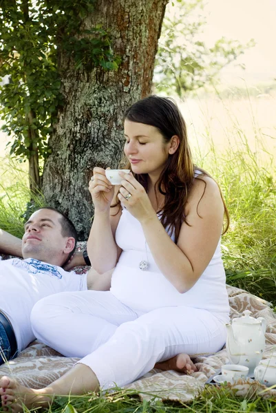 Coppia avendo pic-nic — Foto Stock