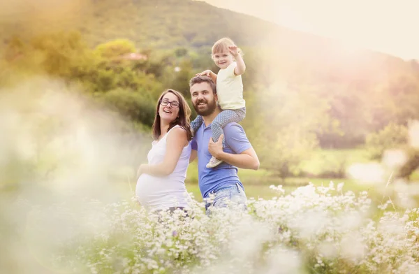 Doğada eğlenmek aile — Stok fotoğraf