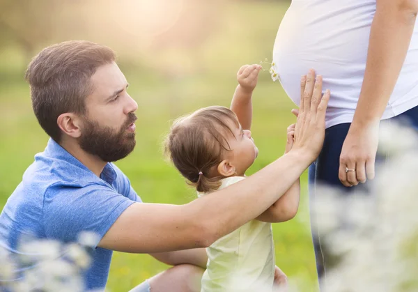 Родина розважається на природі — стокове фото