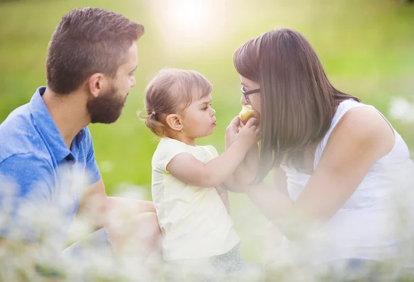 Famiglia divertendosi nella natura — Foto Stock