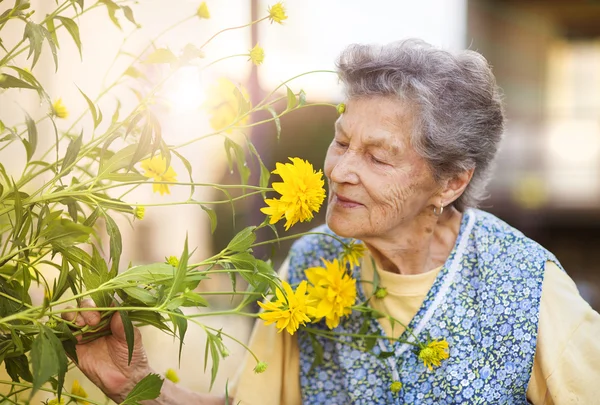 Seniorin mit Blume im Garten — Stockfoto