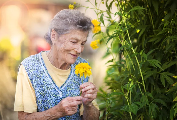 Seniorin mit Blume im Garten — Stockfoto