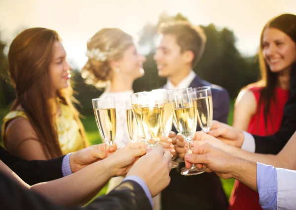 Wedding guests with the newlyweds — Stock Photo, Image