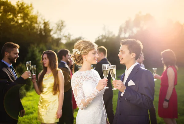 Весільні гості з молодятами — стокове фото