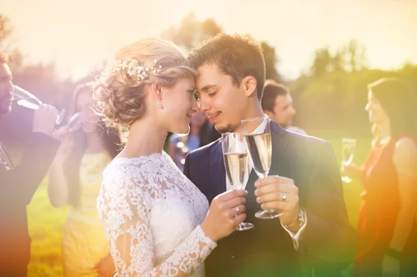 Recién casados tintineo gafas — Foto de Stock