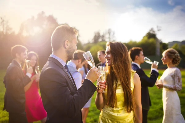 Hochzeitsgäste klirren mit Gläsern — Stockfoto