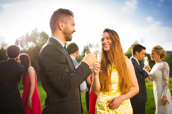 Wedding guests clinking glasses — Stock Photo, Image