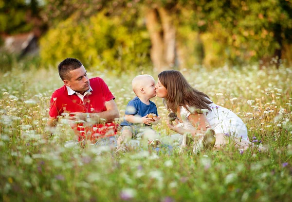 Çayır üzerinde oturan küçük çocukla mutlu aile — Stok fotoğraf