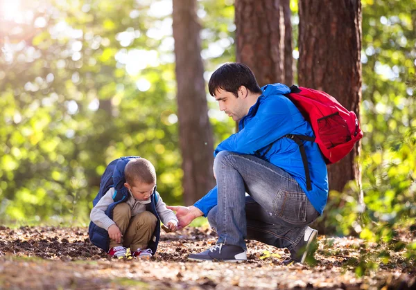 숲 속의 아버지 와아들 — 스톡 사진