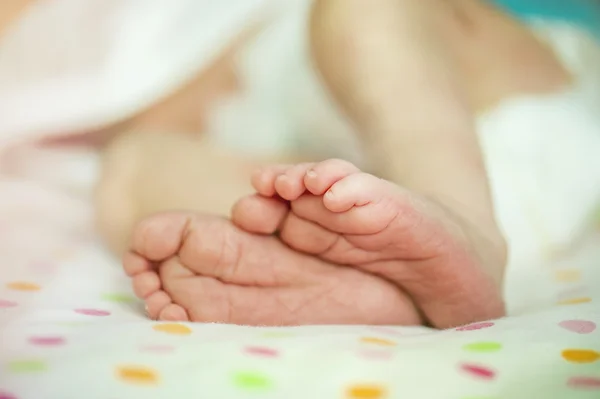 Bebé recién nacido pies de niña — Foto de Stock