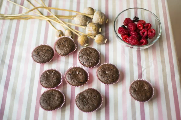 Magdalenas de chocolate con frambuesas —  Fotos de Stock