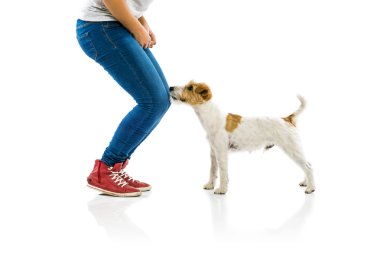 kadın eğitimi köpek